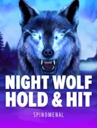 night wolf hold and hit official logo